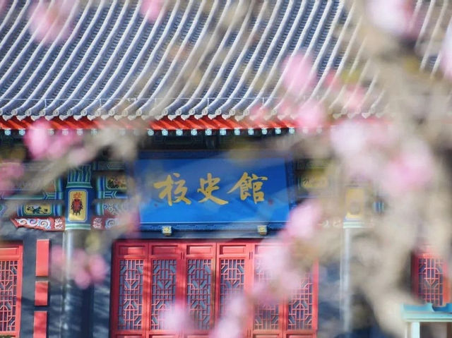  “Campus in Bloom: The Cherry Blossom Charm of Shanzhou University”