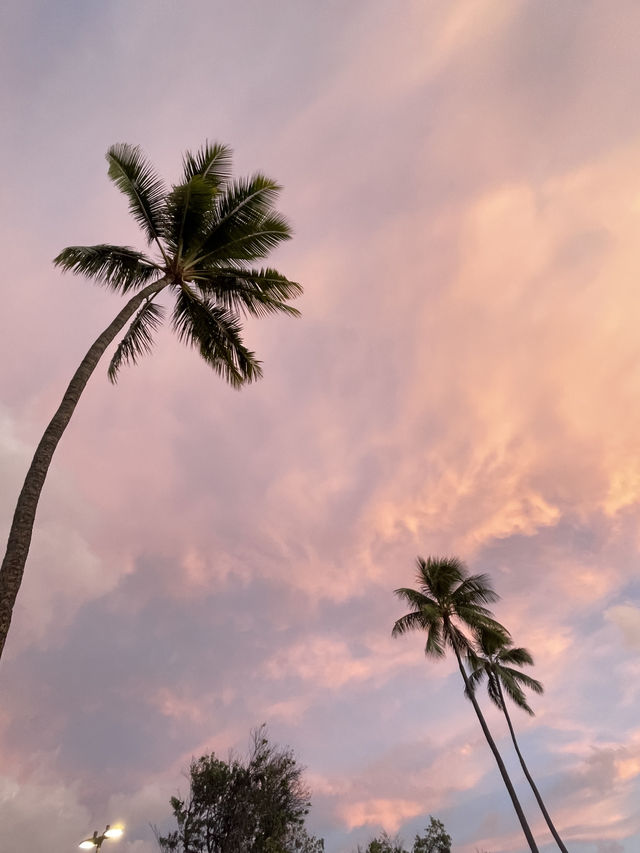 【ハワイ|ホノルル】Ala Moana Beach⛱️