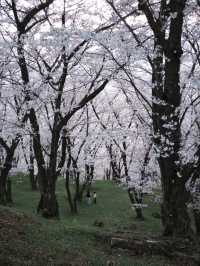 Kobo-yama: Nature's Grand Spring Filter