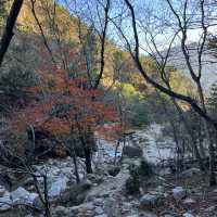【釈迦ヶ岳】🏔️ 鈴鹿セブンマウンテン