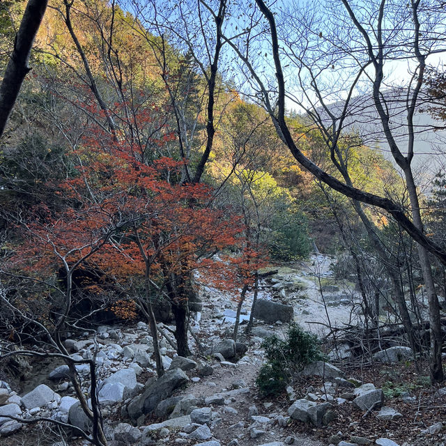 【釈迦ヶ岳】🏔️ 鈴鹿セブンマウンテン