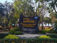 ผาหัวนาค ชัยภูมิ