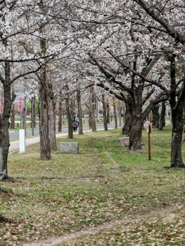 大阪城公園历史與自然的完美融合