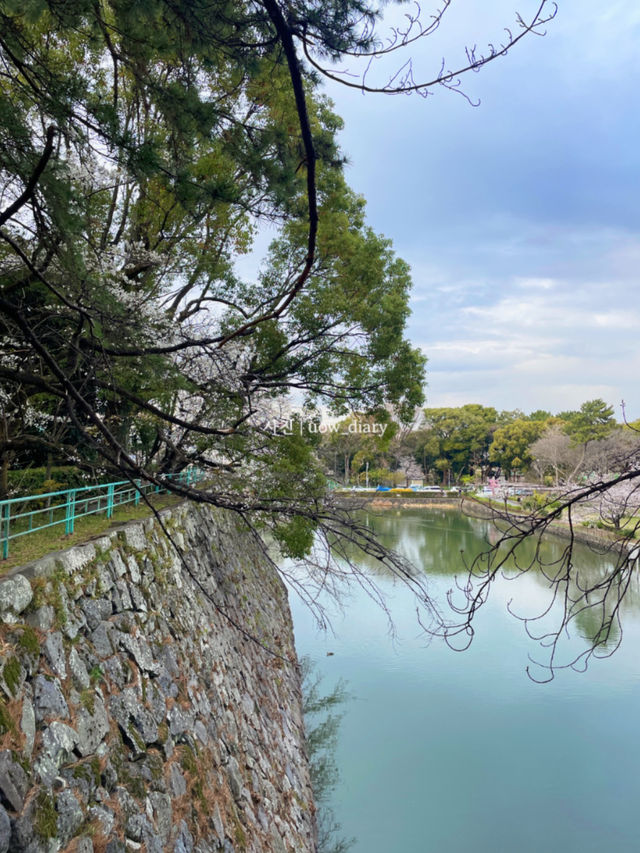 나고야성에서 기념품 쇼핑하기 🏯