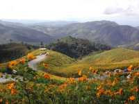 🌄🚣 PAI & MAE HONG SON LOOP ADVENTURE: 4-Day Mountain Magic! 