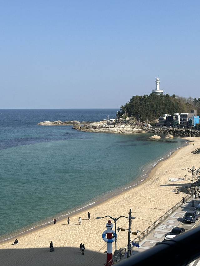 속초 등대해수욕장 1분거리 미디어아트 가족펜션 🫧🌊