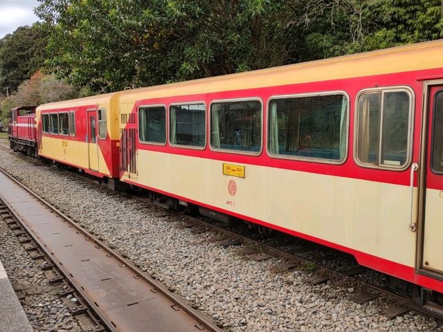 #奮起湖車站-嘉義縣竹崎鄉