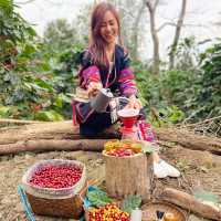 LEEPEE FARM ฟาร์มกาแฟพิเศษ ณ ดอยช้าง