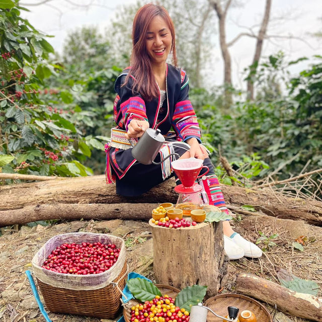 LEEPEE FARM ฟาร์มกาแฟพิเศษ ณ ดอยช้าง
