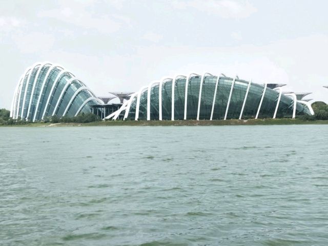 #濱海灣花園Gardens By The Bay-新加坡