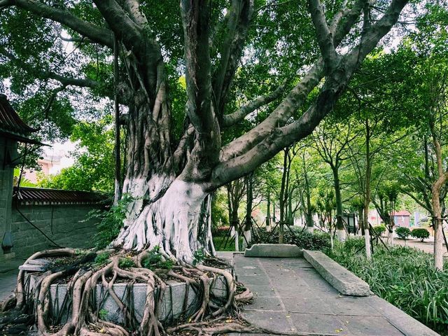 中國福建泉州著名景點：寶蓋山，適合打卡拍照📸