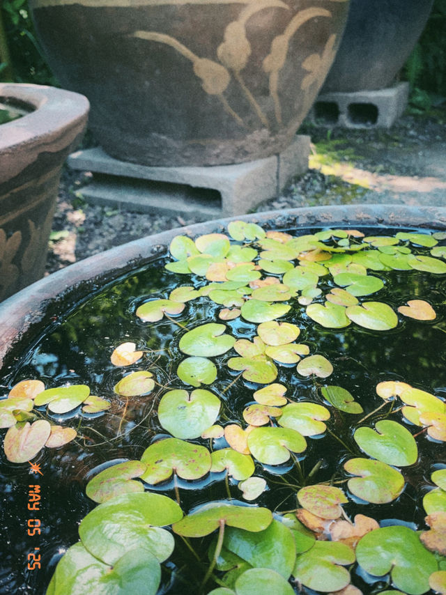 東京の庭園巡りは風流と花と自然を感じたいならココ！