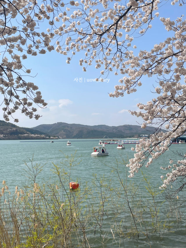 역사와 자연을 한번에 체험할 수 있는 경주여행🇰🇷🥢🌱🍀