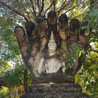 เช็คอินหนองคาย.