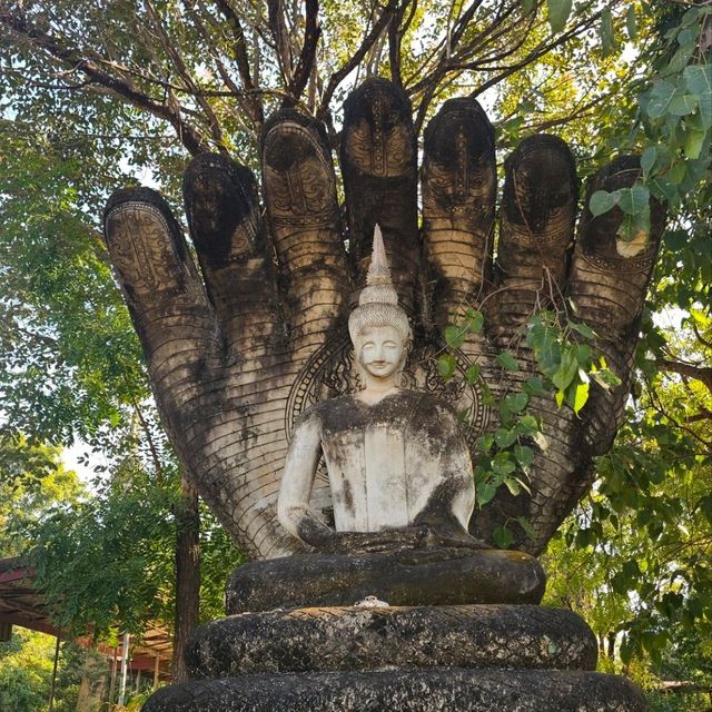เช็คอินหนองคาย.