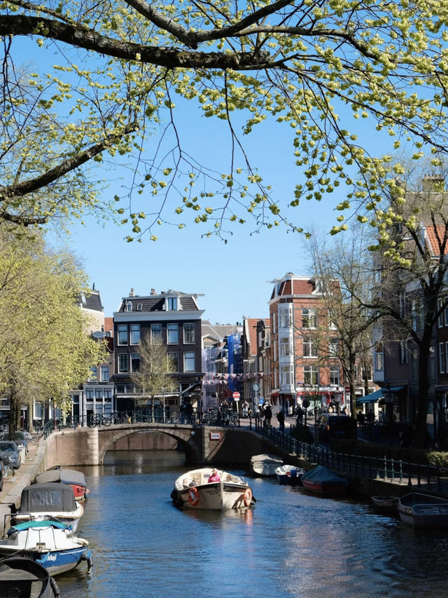 Amsterdam in Spring — A City Where the Season Comes to Life 🌷✨