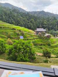 Must try 🔥Kefi Farm Cafe: A Scenic Retreat in Kluang