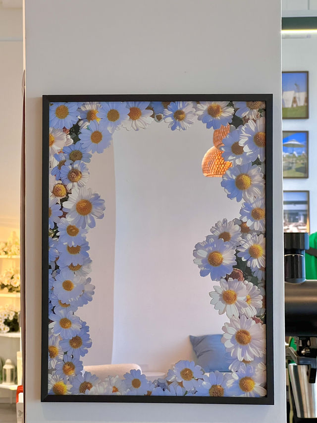 청주 샤스타데이지 나들이 🌼