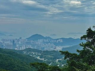 Tai Mo Shan Spring Vibes