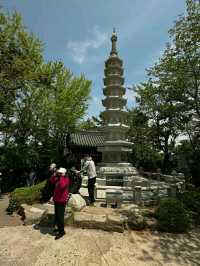 Busan: Ocean Breeze, Mountain Calm, and a Dash of City Pulse