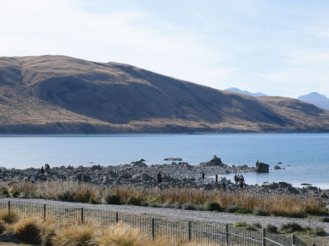ขับรถเที่ยวเกาะใต้นิวซีแลนด์ - Lake TEKAPO