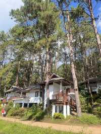 ปางอุ๋ง ทางผ่านบ้านรักไทย แต่ต้องแวะเพราะสวยจริง!