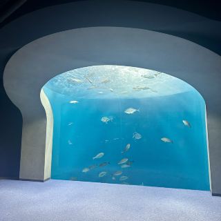Shikoku Aquarium | A Dreamy Ocean World + Exclusive Pearl Crafting Experience!