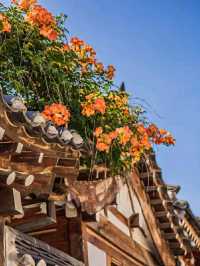 Bukchon Hanok Village – Timeless Beauty in the Heart of Seoul