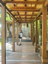 คาเฟ่ the baristro asian style  เชียงใหม่