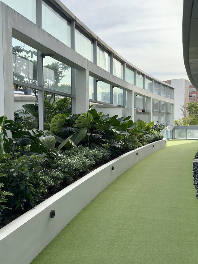 A Hidden Oasis: Exploring The Cathay’s Pet-Friendly Sky Garden 