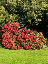 Altamont Gardens – Ireland’s Romantic Garden Jewel in County Carlow
