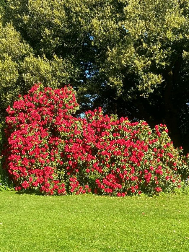 Altamont Gardens – Ireland’s Romantic Garden Jewel in County Carlow