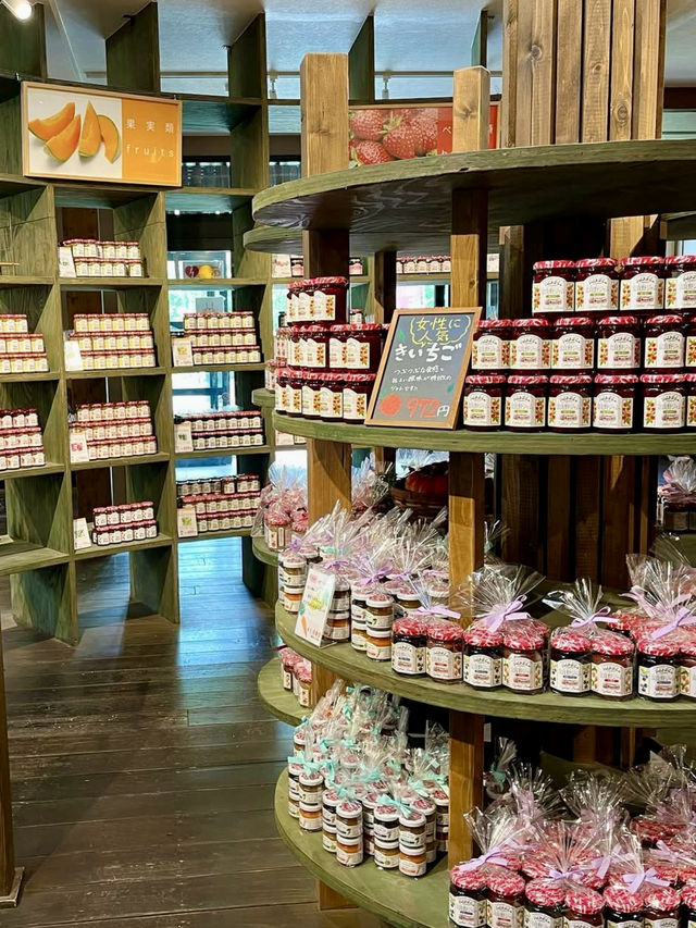 A Relaxing Drive Through Furano – Fields, Music & a Touch of Nostalgia