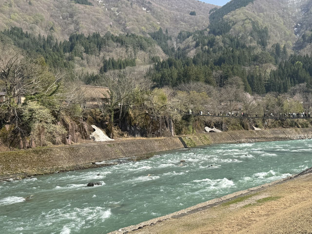 🏞️ 春の息吹に包まれる世界遺産：白川郷合掌造り集落 🌸🏯