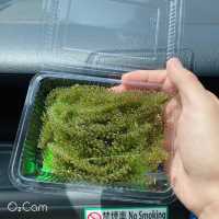 日本🇯🇵沖繩 萬座毛 韓劇拍攝爆紅景點 絕美海景值得一訪！