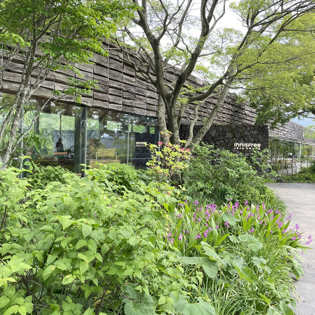 済州市3日間のカジュアル旅攻略