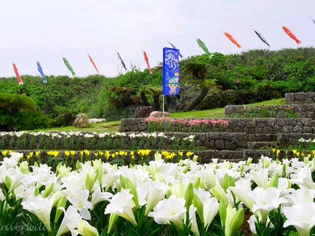 【沖縄県】海と100万輪のテッポウユリが絶景！「伊江島ゆり祭り」