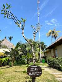 The Patra Bali Resort & Villas