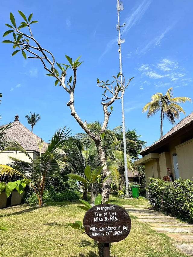The Patra Bali Resort & Villas