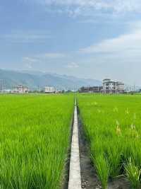 From Taipei’s skyline to Tainan’s shrine