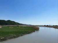 Spring in Suncheon