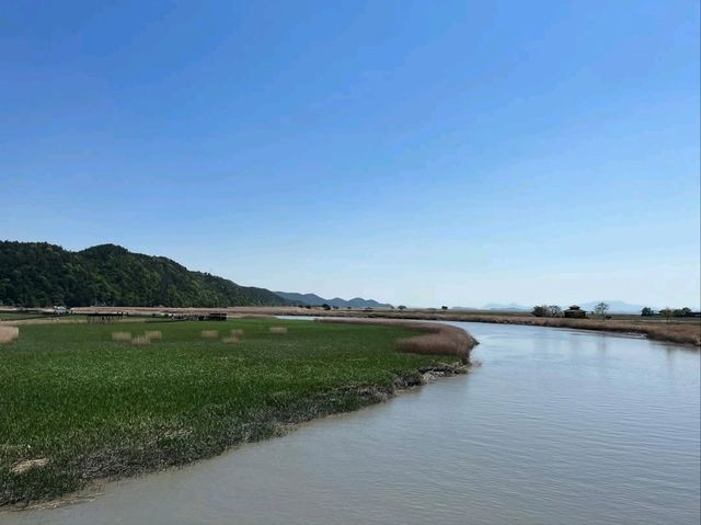 Spring in Suncheon