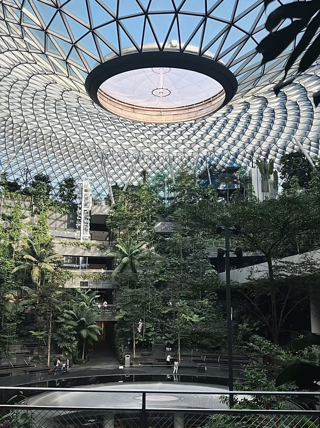สิงคโปร์ทริปนี้มีแต่ความฟู🇸🇬