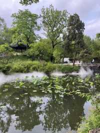 Strolling Through Suzhou: A Slow Day Well Spent