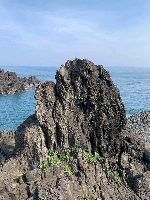 Nature’s Geometric Flex by the Sea