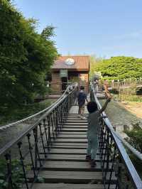 濟州島 snoopy garden 史努比樂園