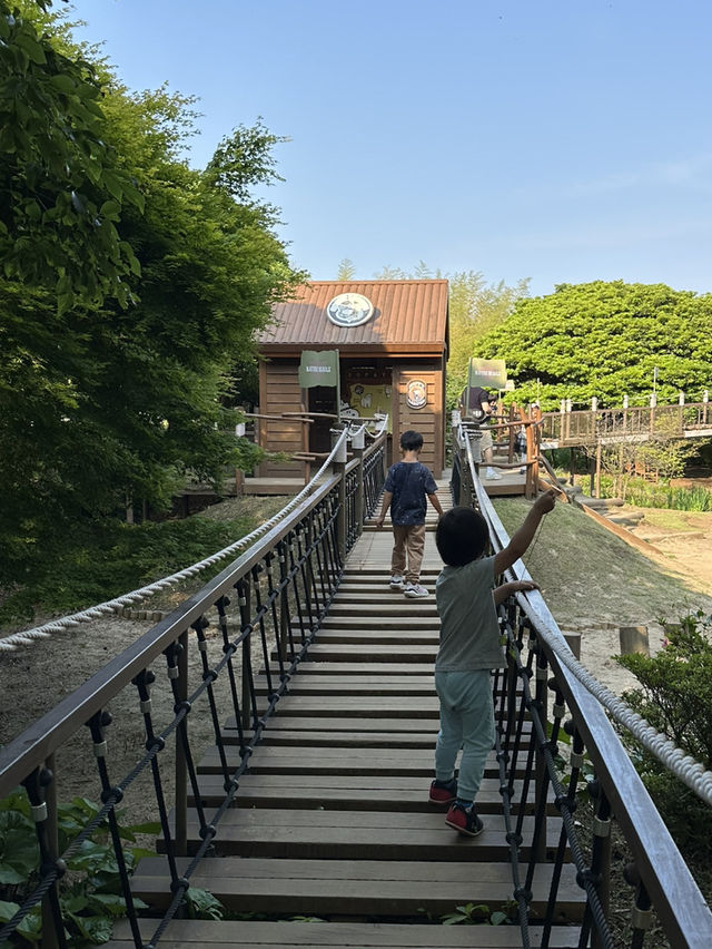 濟州島 snoopy garden 史努比樂園
