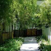 端午不妨來西溪南過一個 「森呼吸」 假期🌳
