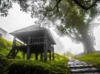 Bandipur queen of hills