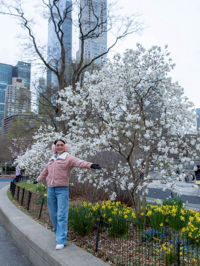 รถม้าพาเที่ยวเซ็นทรัลปาร์ค (Central Park)